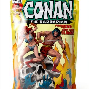 Conan the Barbarian Archive Issue Titan Comics Kindle Edition-0