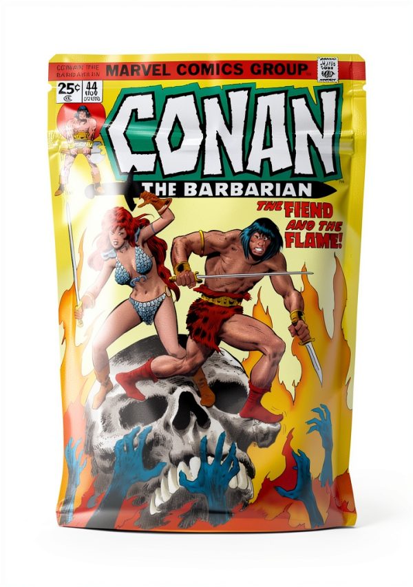 Conan the Barbarian Archive Issue Titan Comics Kindle Edition-0