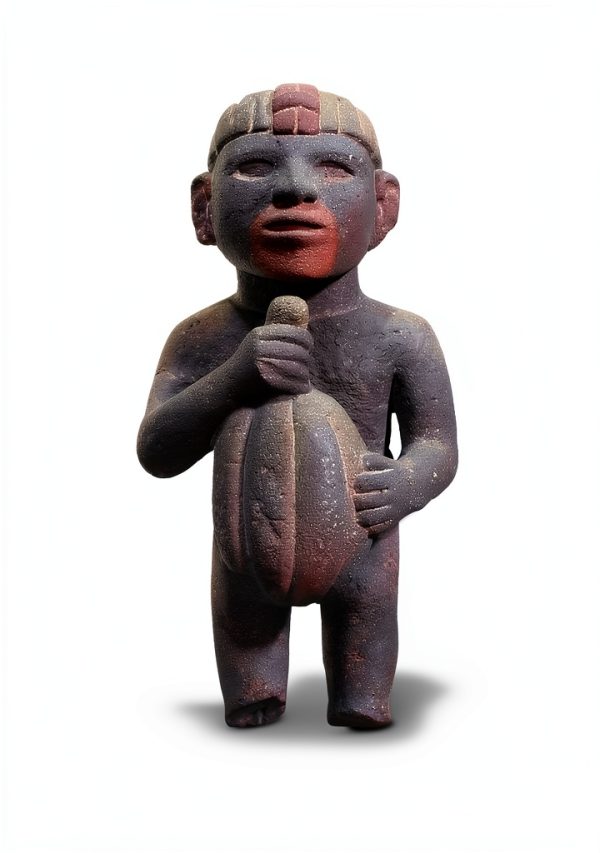 Aztec History eBook by University of Texas Press – 157‑Page Kindle-0