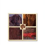 Ancient Textiles Oxbow eBook 512 Page Illustrated Art Study-0
