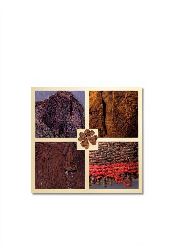 Ancient Textiles Oxbow eBook 512 Page Illustrated Art Study-0